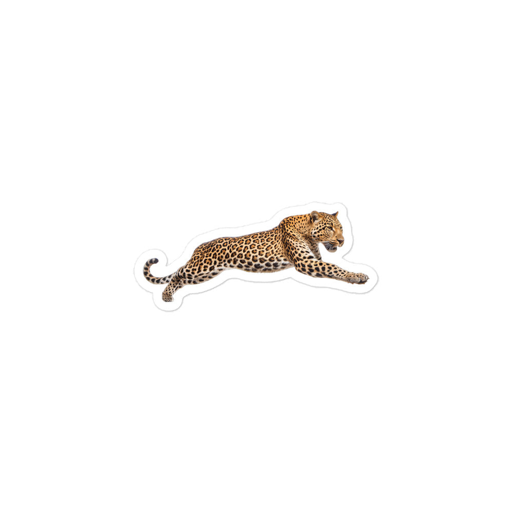 Amur Leopard Sticker - Stickerfy.ai