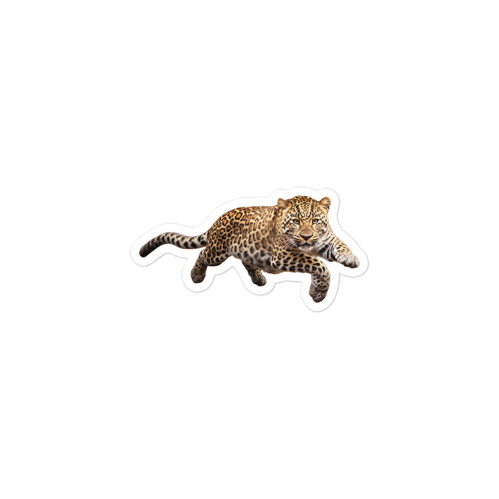 Amur Leopard Sticker - Stickerfy.ai