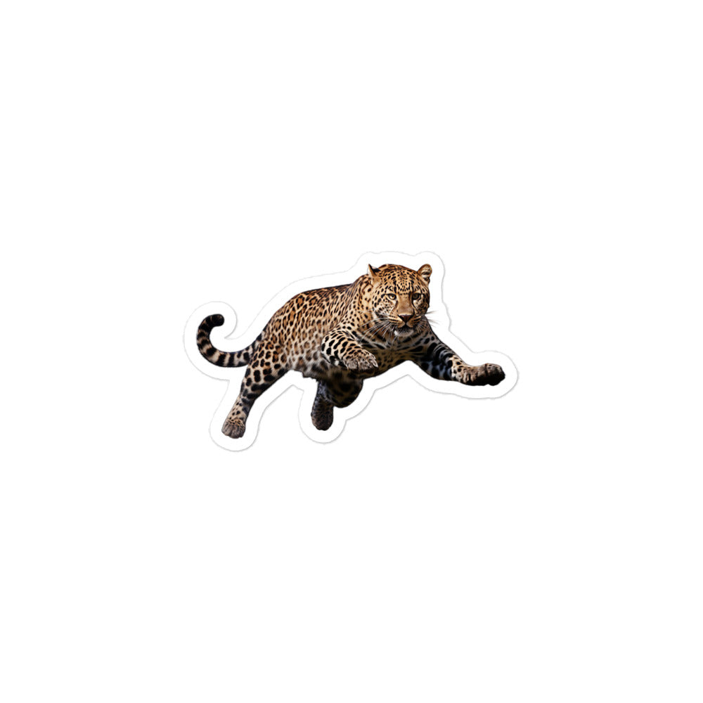 Amur Leopard Sticker - Stickerfy.ai