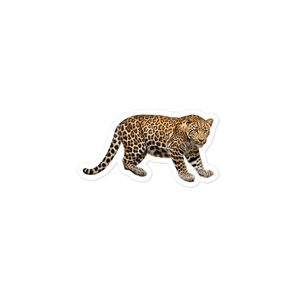 Amur Leopard Sticker - Stickerfy.ai