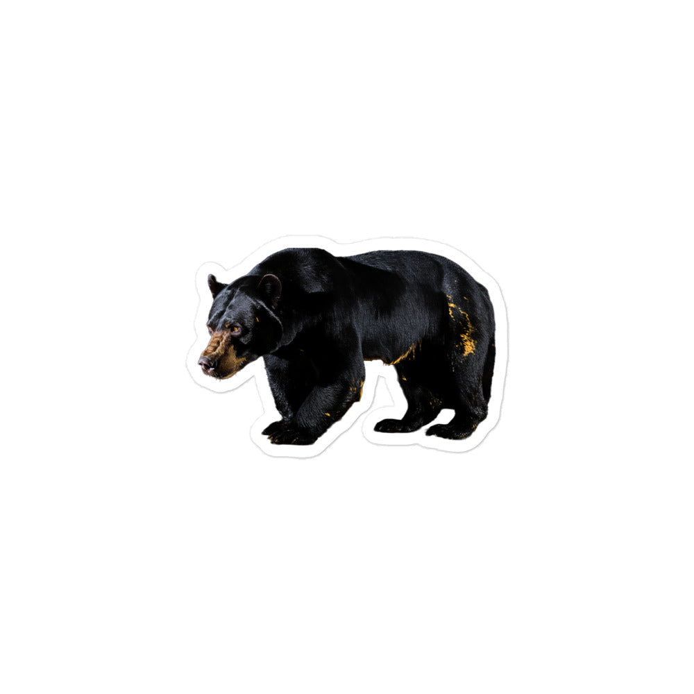 Sun Bear Sticker - Stickerfy.ai