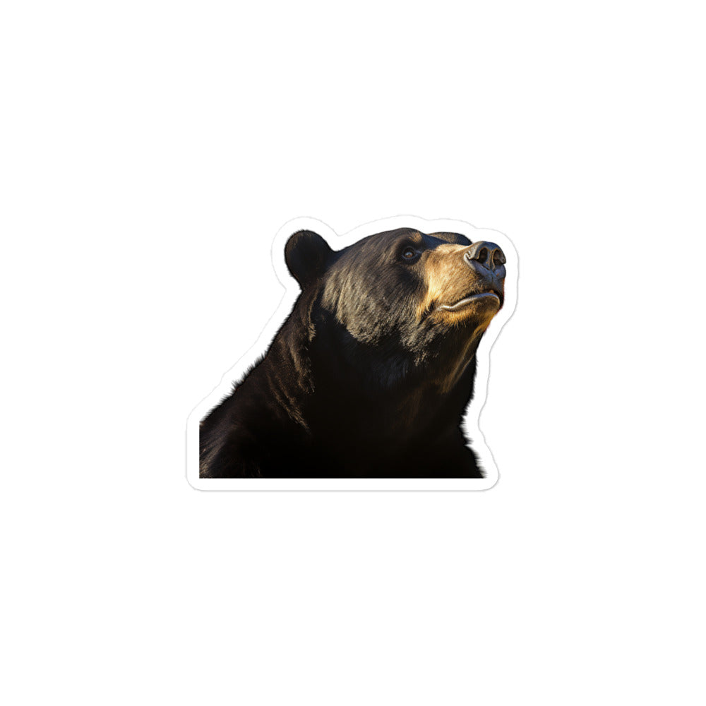 Sun Bear Sticker - Stickerfy.ai