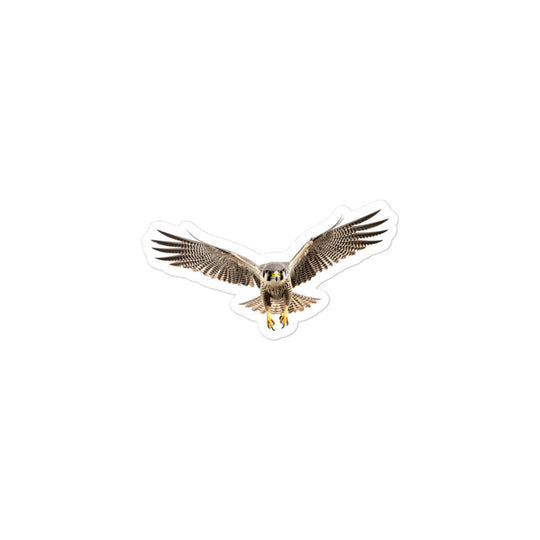 Peregrine Falcon Sticker - Stickerfy.ai