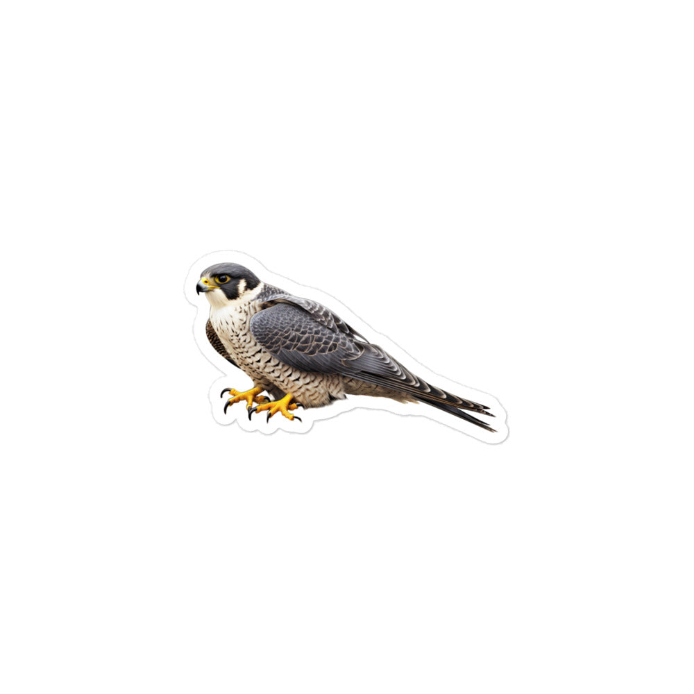 Peregrine Falcon Sticker - Stickerfy.ai