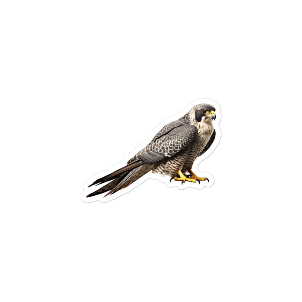 Peregrine Falcon Sticker - Stickerfy.ai