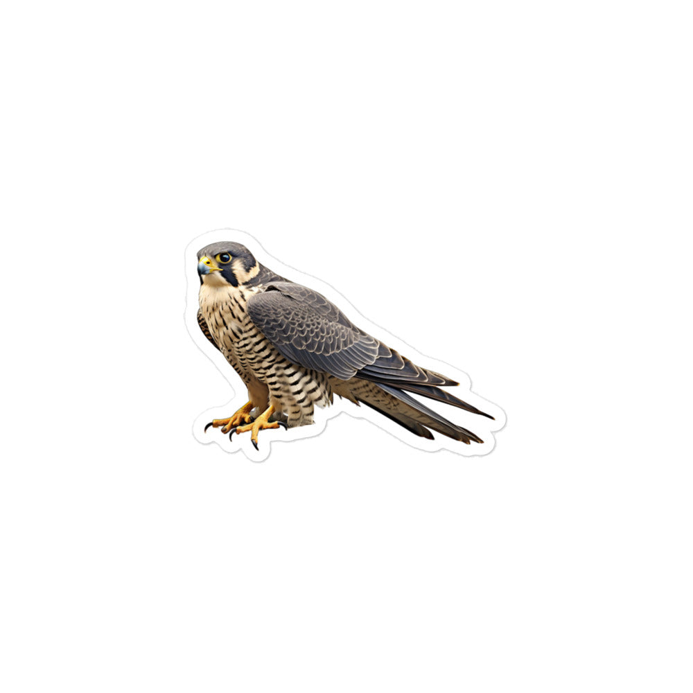 Peregrine Falcon Sticker - Stickerfy.ai