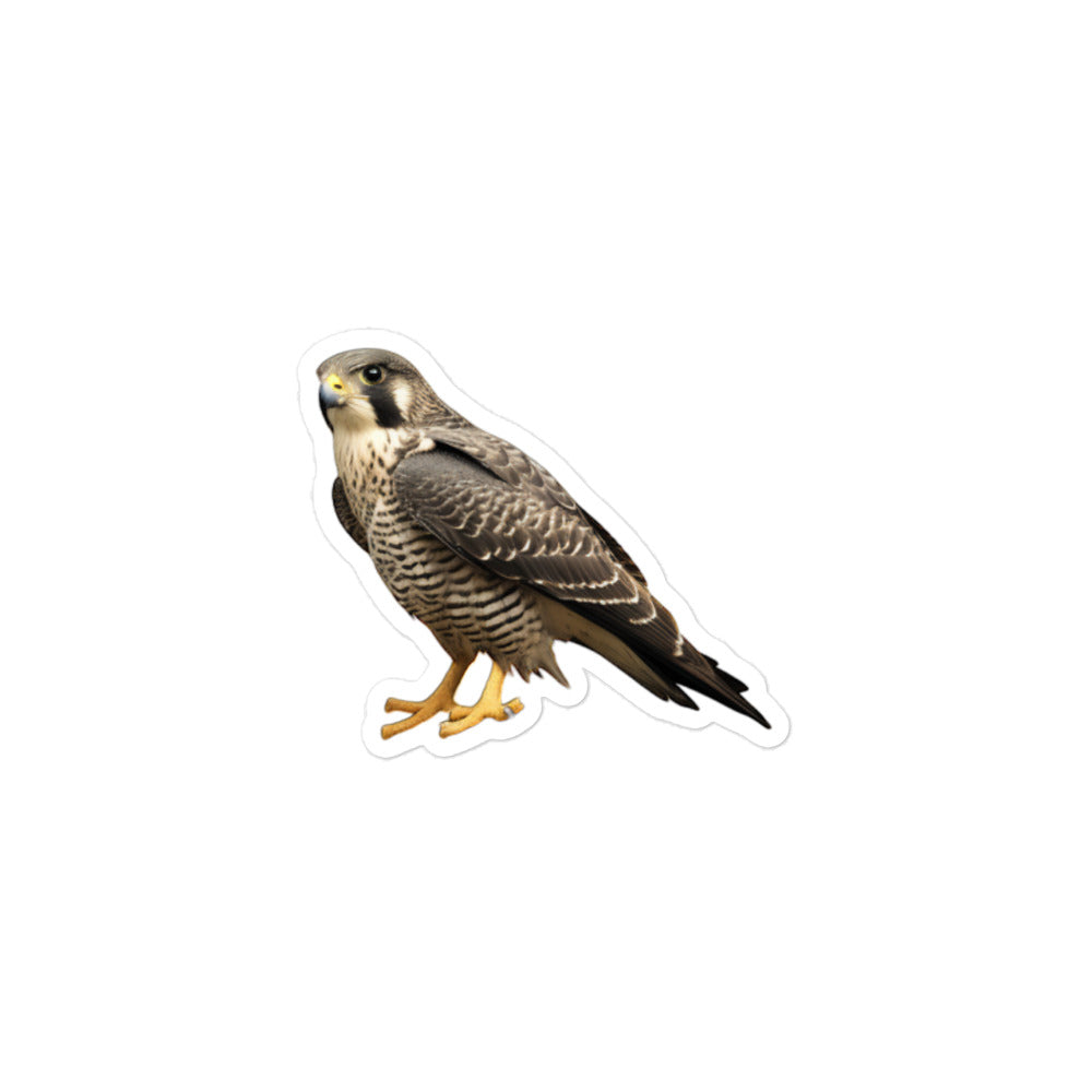 Peregrine Falcon Sticker - Stickerfy.ai