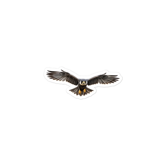 Peregrine Falcon Sticker - Stickerfy.ai