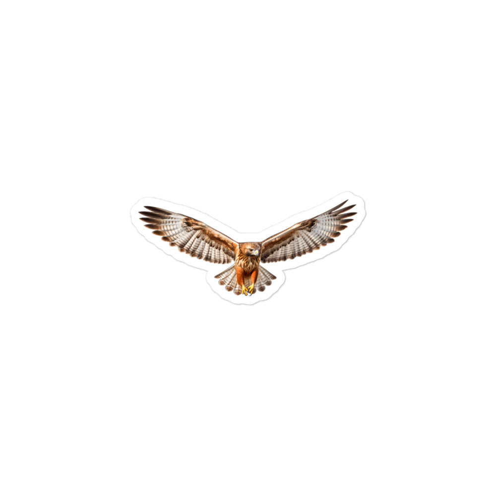 Red Tailed Hawk Sticker - Stickerfy.ai