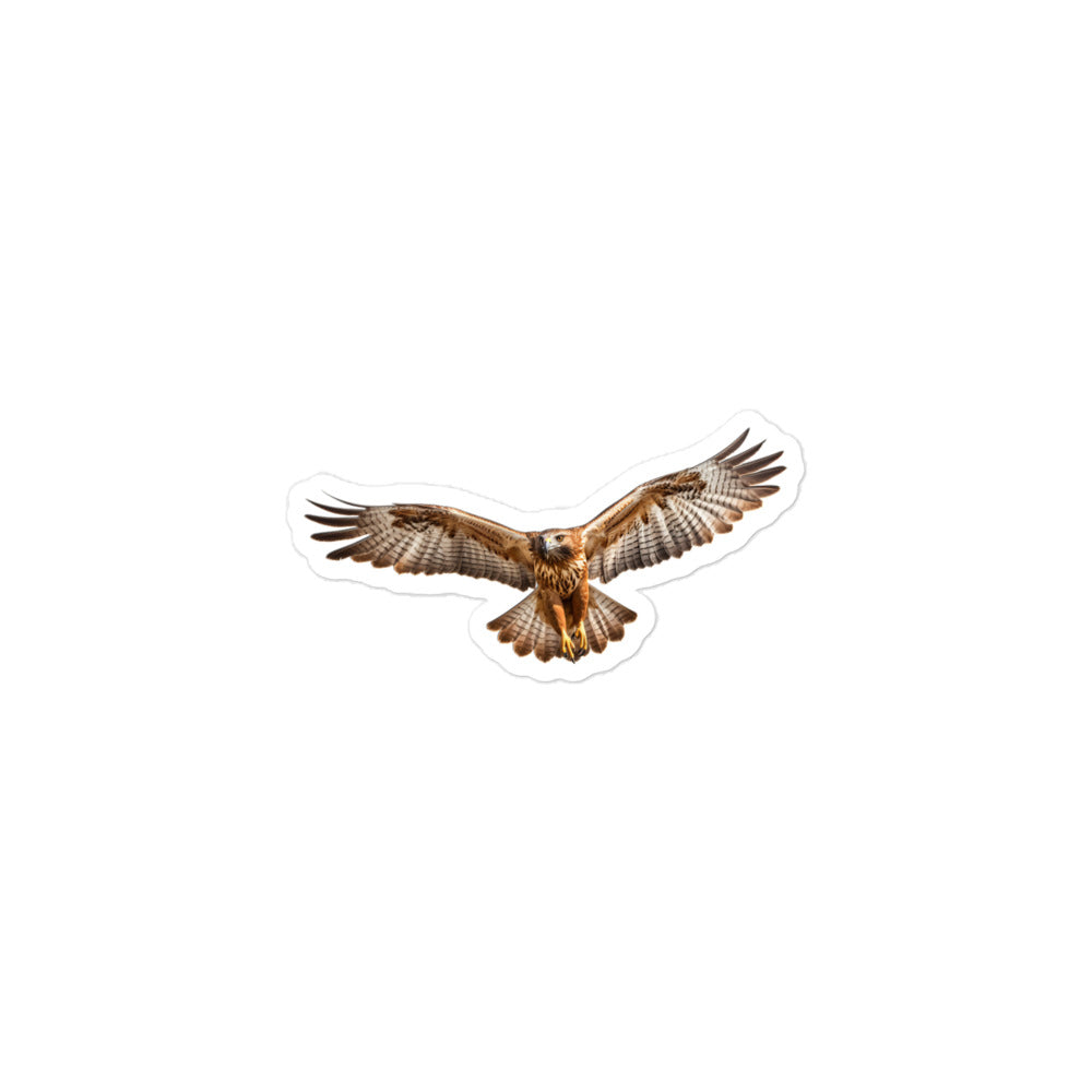 Red Tailed Hawk Sticker - Stickerfy.ai