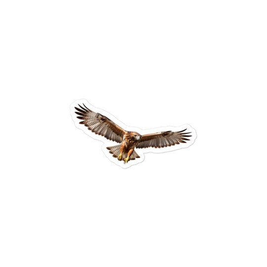 Red Tailed Hawk Sticker - Stickerfy.ai