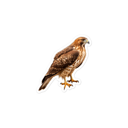 Red Tailed Hawk Sticker - Stickerfy.ai