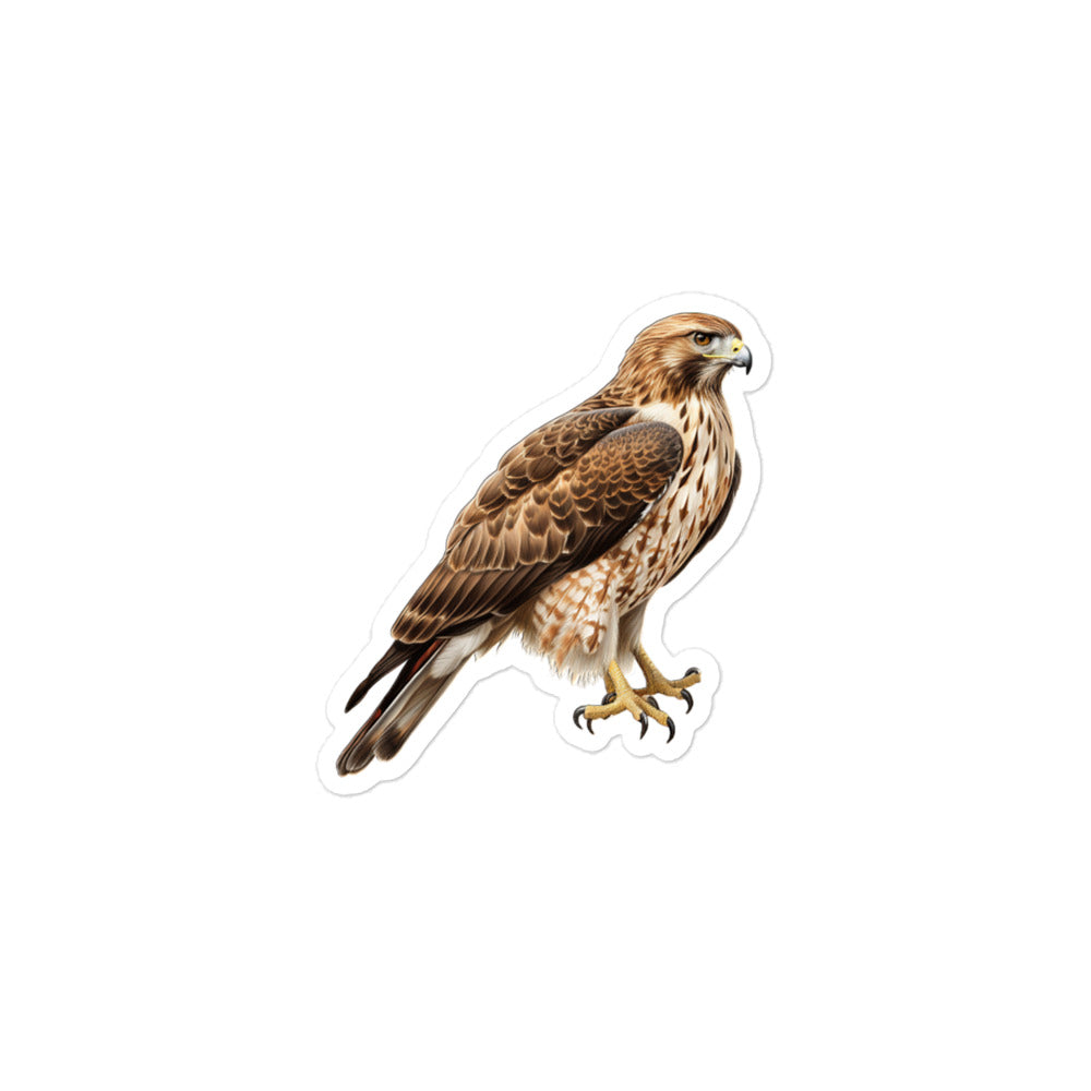 Red Tailed Hawk Sticker - Stickerfy.ai