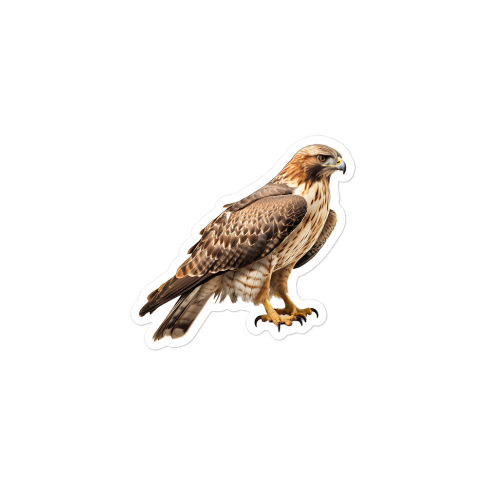 Red Tailed Hawk Sticker - Stickerfy.ai