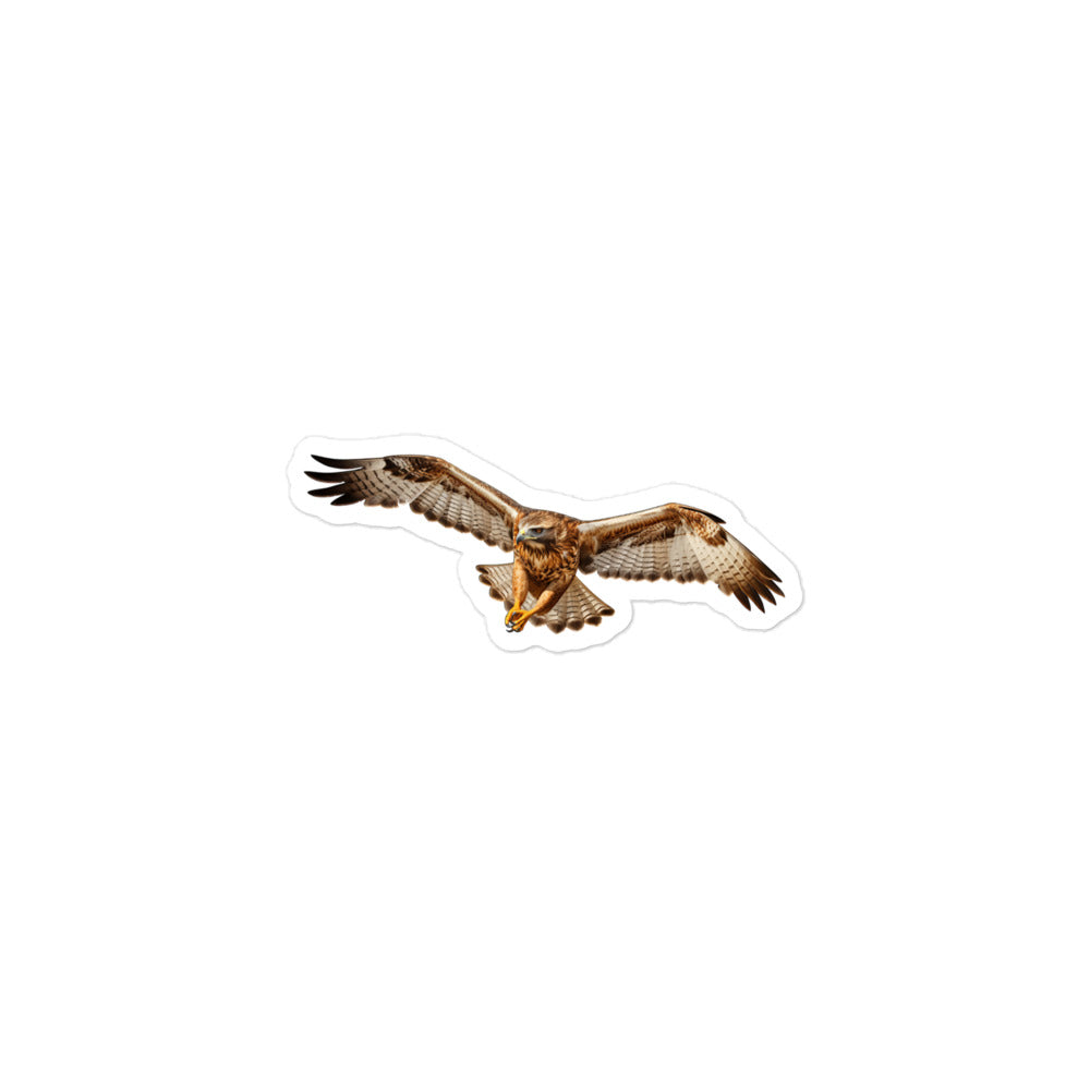 Red Tailed Hawk Sticker - Stickerfy.ai