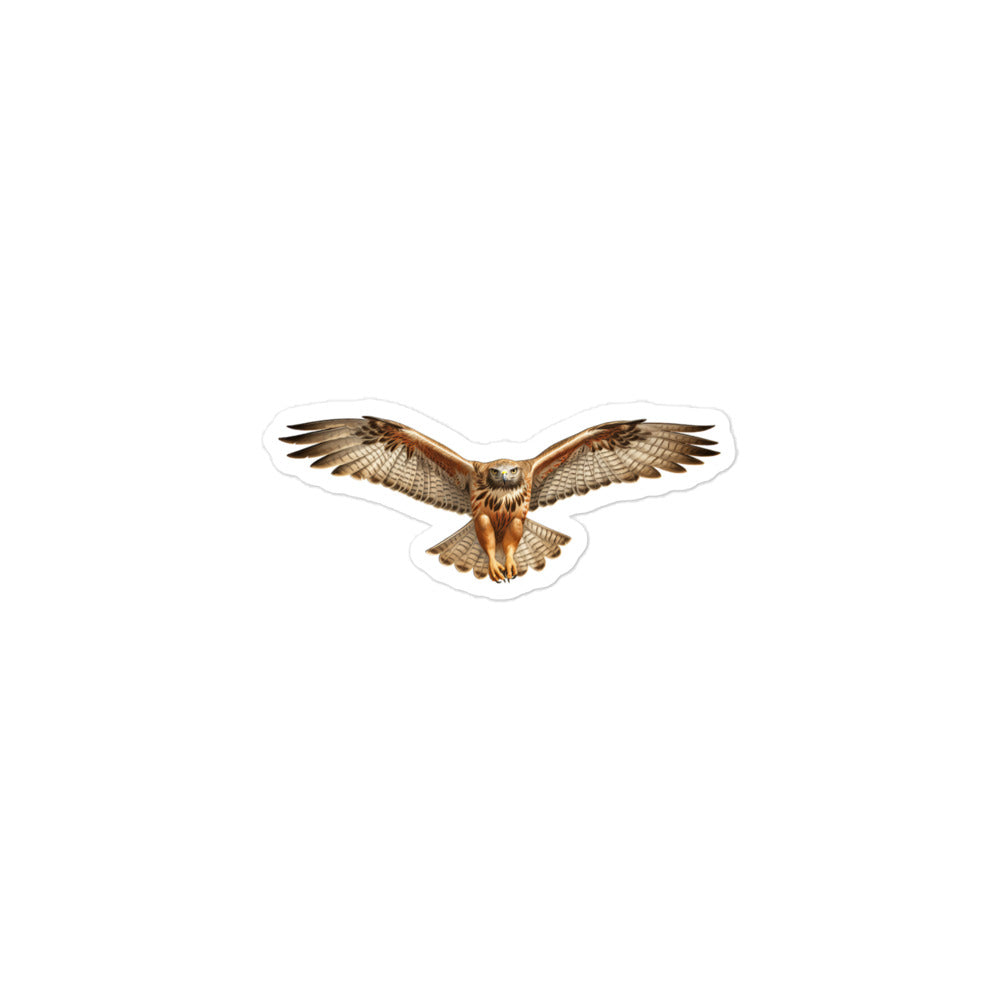 Red Tailed Hawk Sticker - Stickerfy.ai