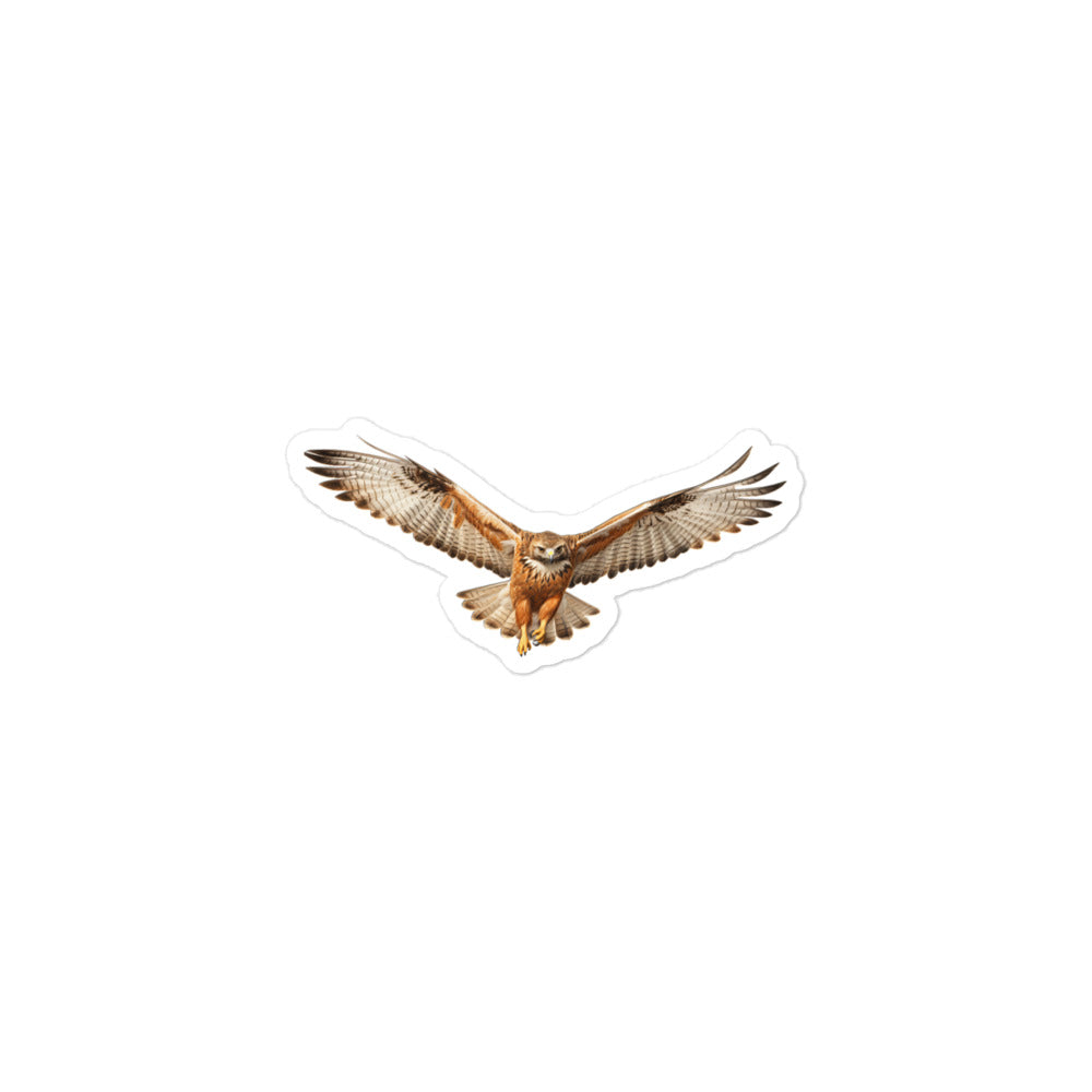 Red Tailed Hawk Sticker - Stickerfy.ai