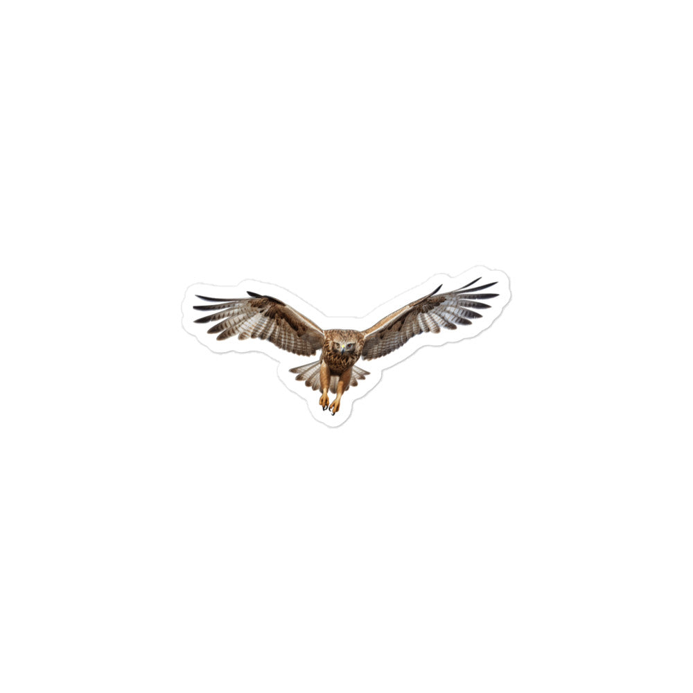 Red Tailed Hawk Sticker - Stickerfy.ai