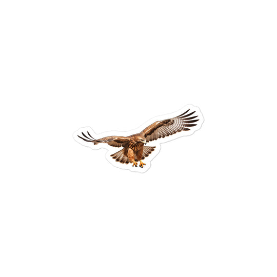 Red Tailed Hawk Sticker - Stickerfy.ai