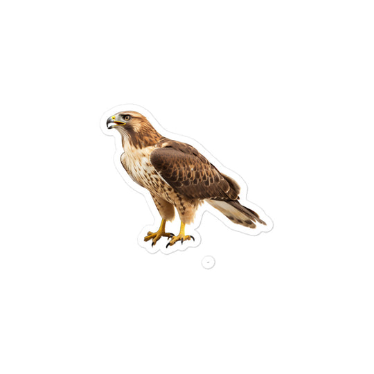 Red Tailed Hawk Sticker - Stickerfy.ai