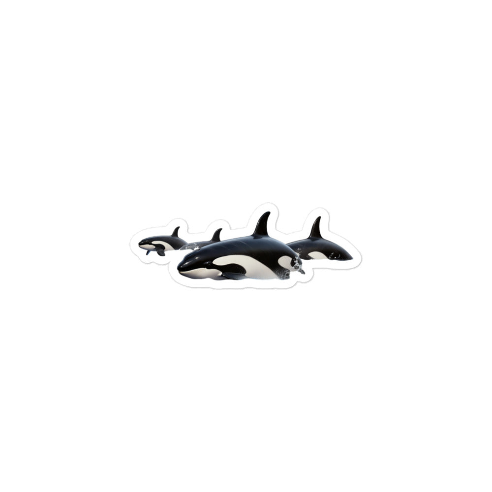 Orcas Sticker - Stickerfy.ai