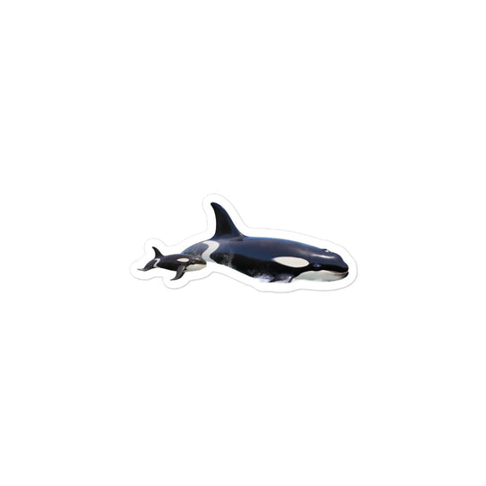 Orcas Sticker - Stickerfy.ai