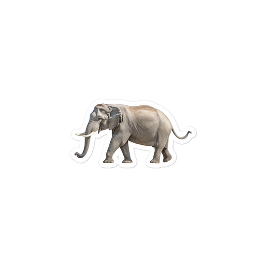 Asian Elephant Sticker