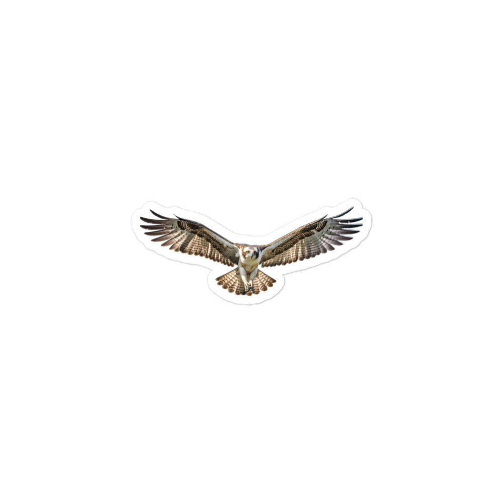 Osprey Sticker