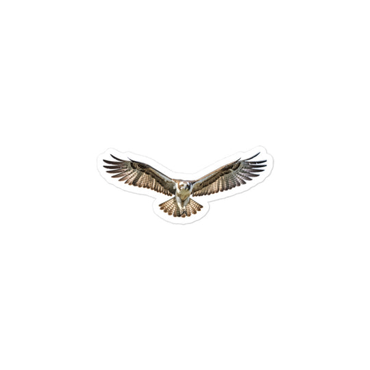 Osprey Sticker