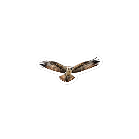 Osprey Sticker