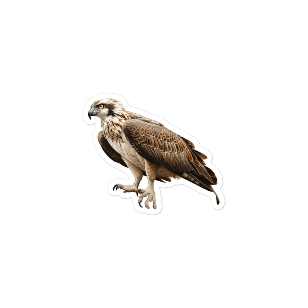 Osprey Sticker