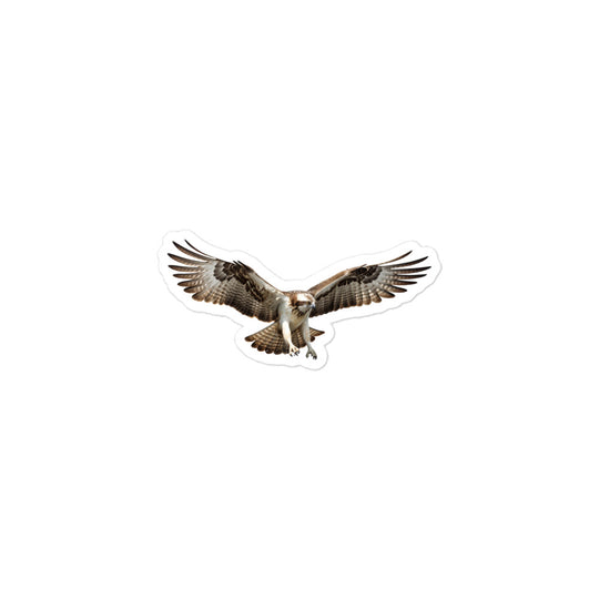 Osprey Sticker