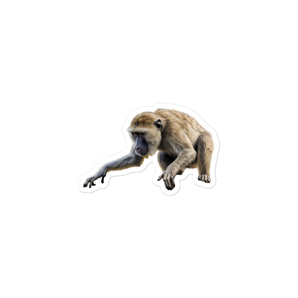 Baboon Sticker