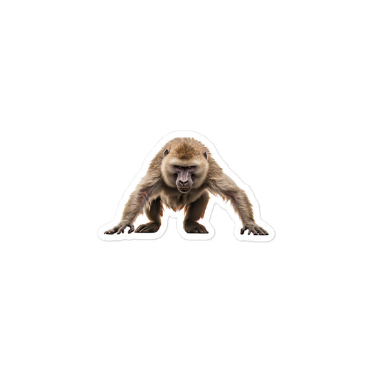 Baboon Sticker