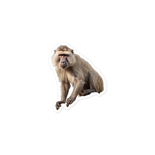 Baboon Sticker