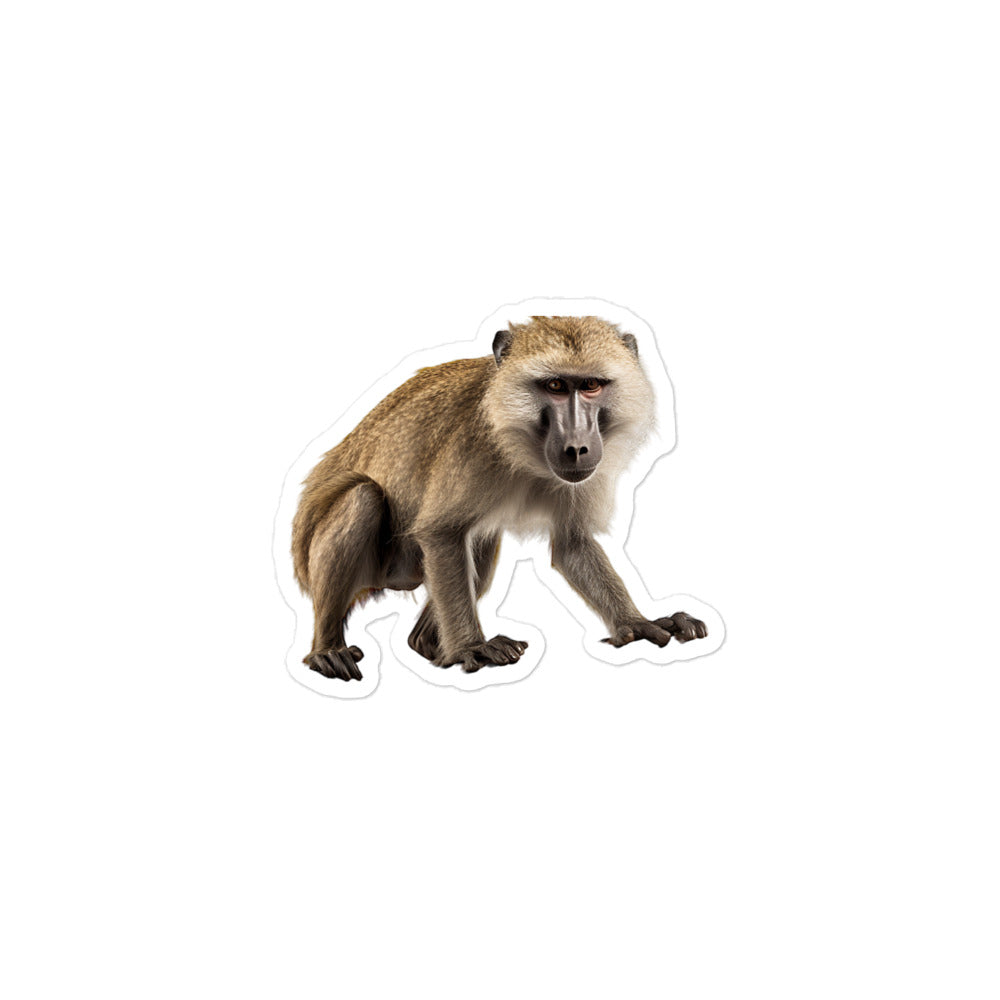 Baboon Sticker