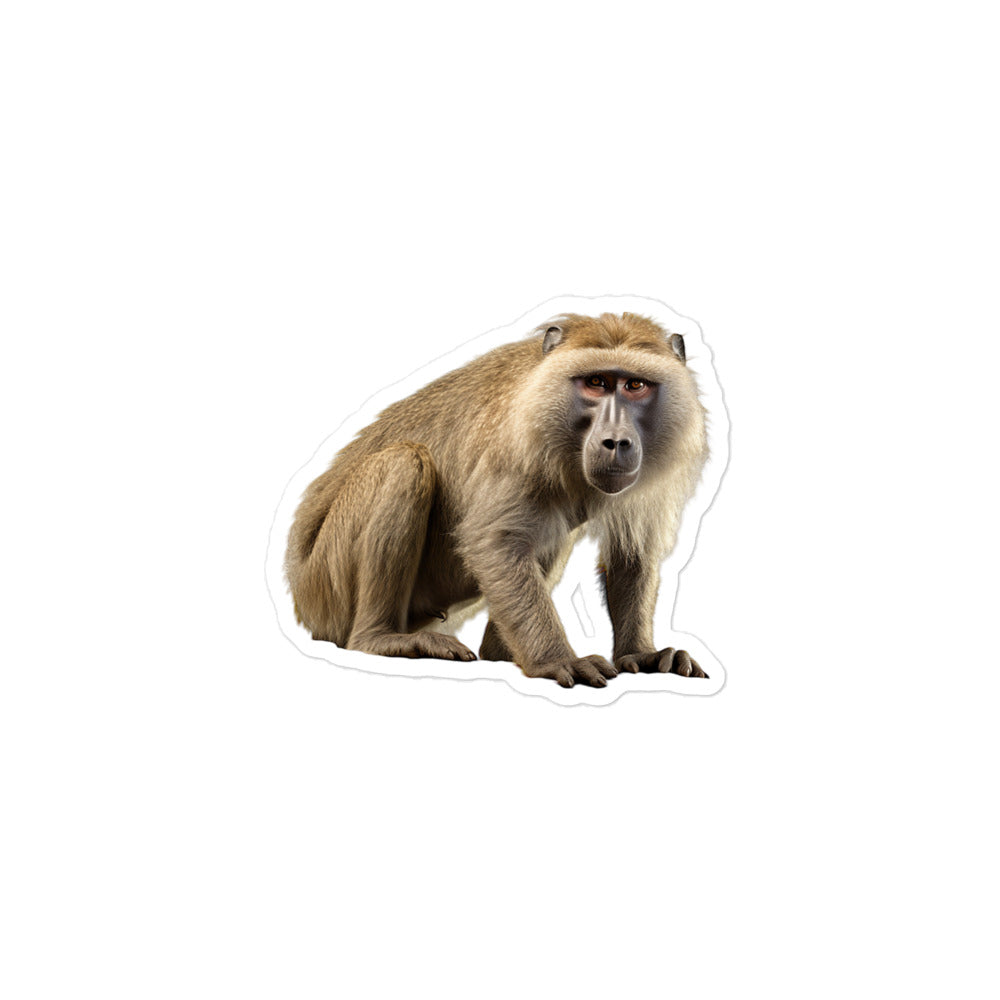 Baboon Sticker