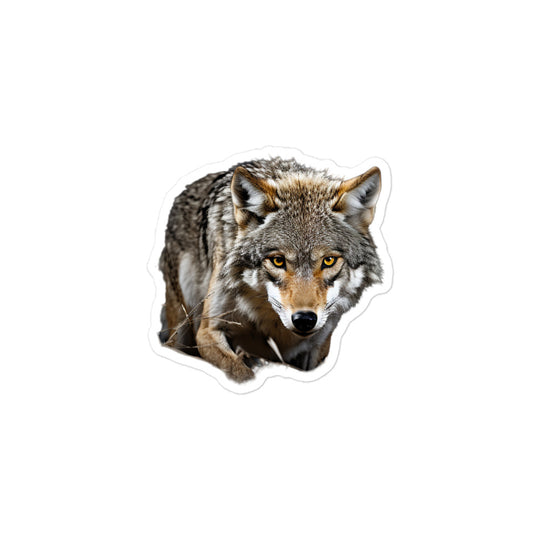 Coyote Sticker