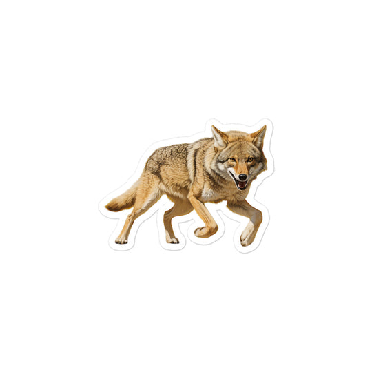 Coyote Sticker