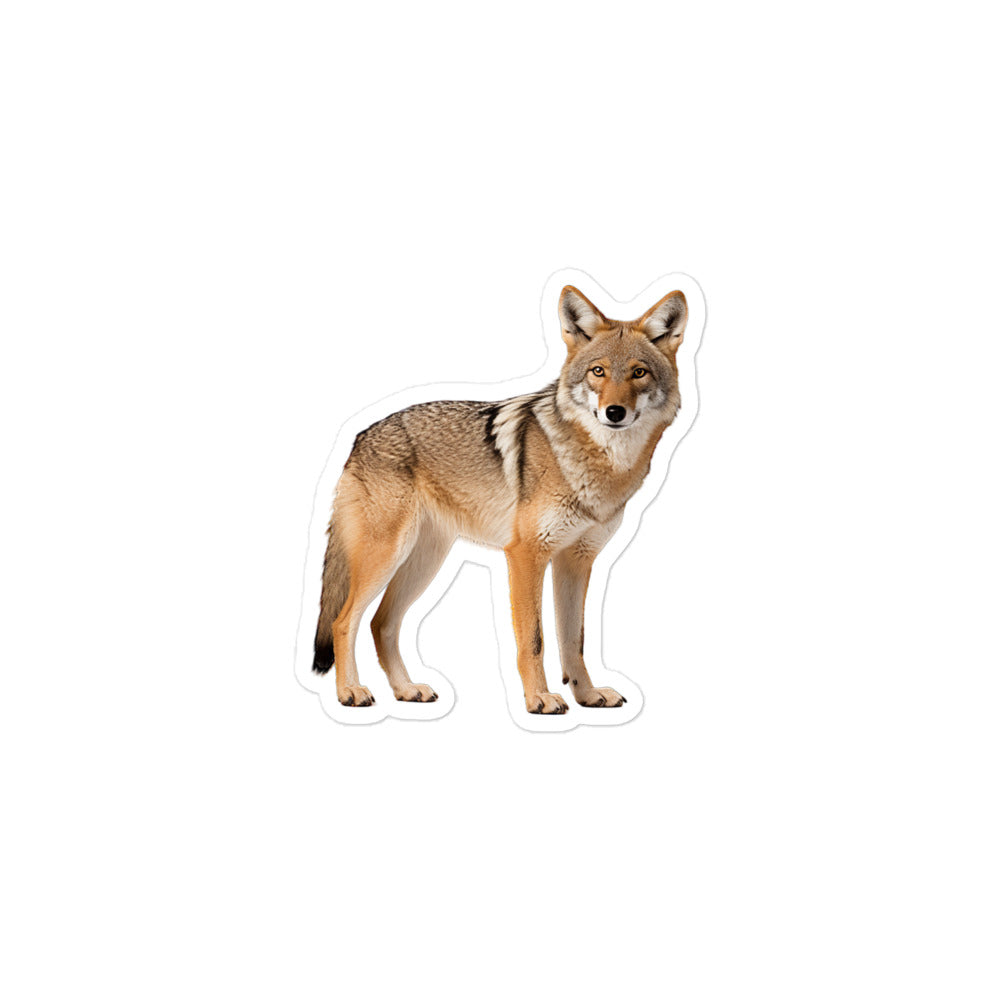 Coyote Sticker