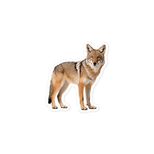 Coyote Sticker