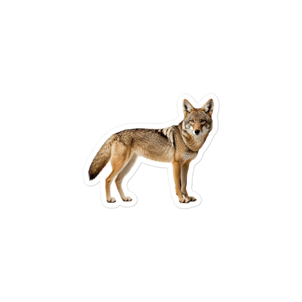 Coyote Sticker