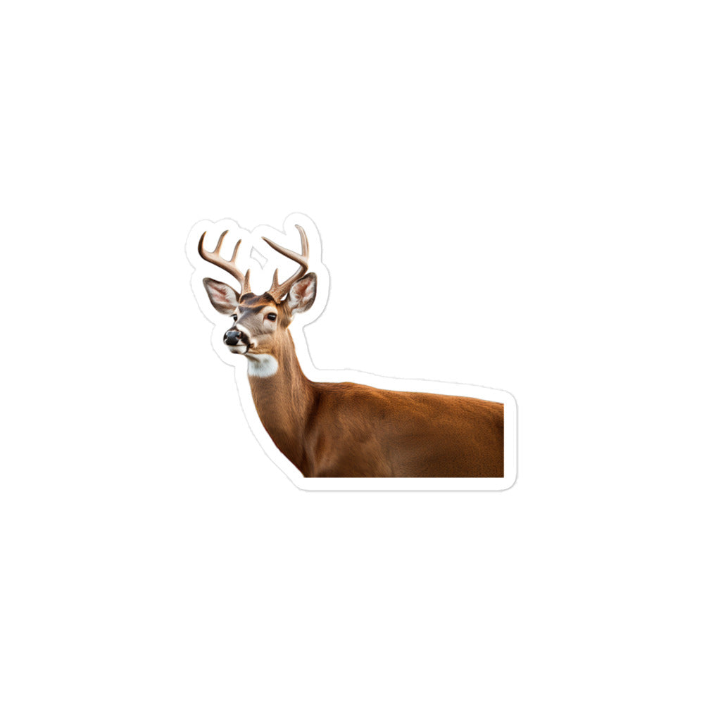 White Tailed Deer Sticker