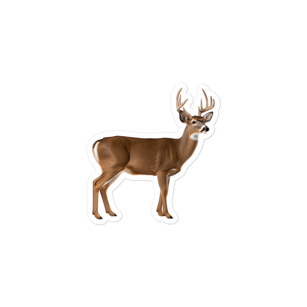 White Tailed Deer Sticker