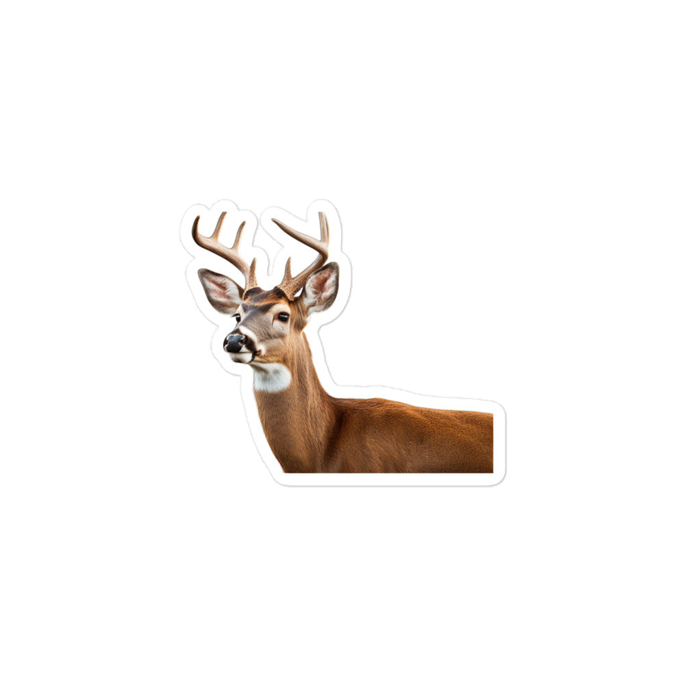 White Tailed Deer Sticker