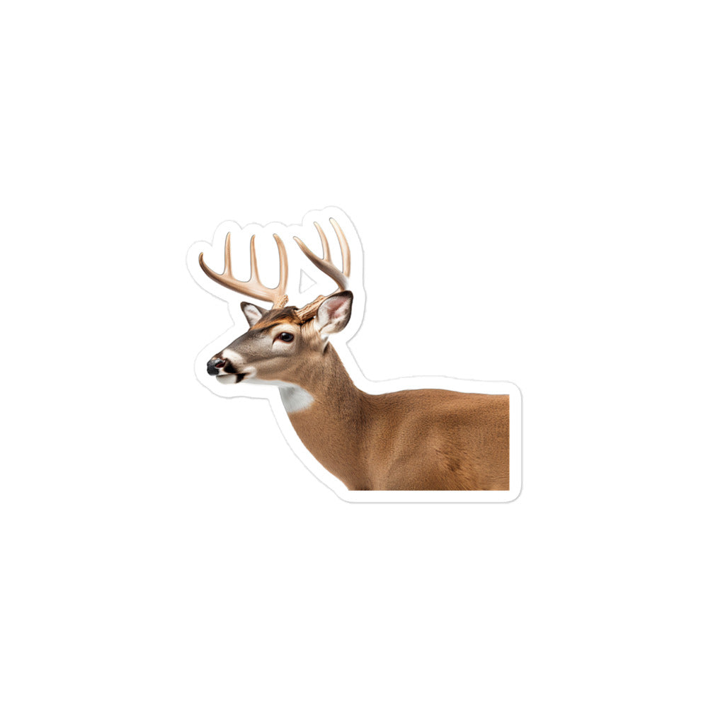 White Tailed Deer Sticker