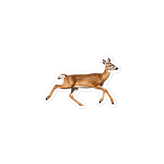 White Tailed Deer Sticker