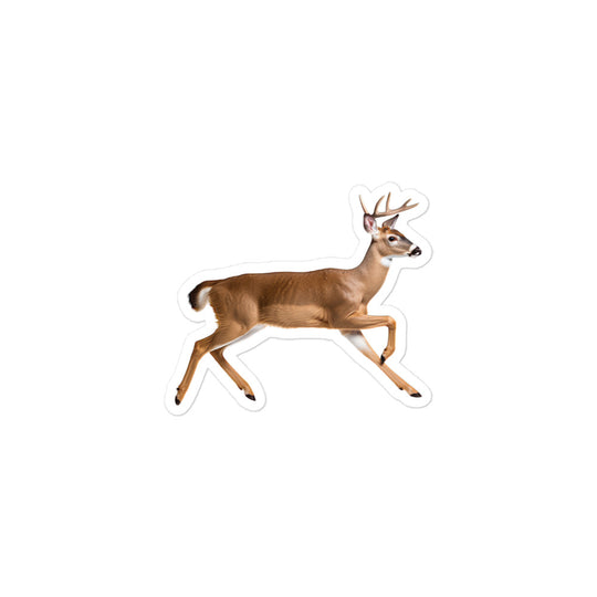 White Tailed Deer Sticker