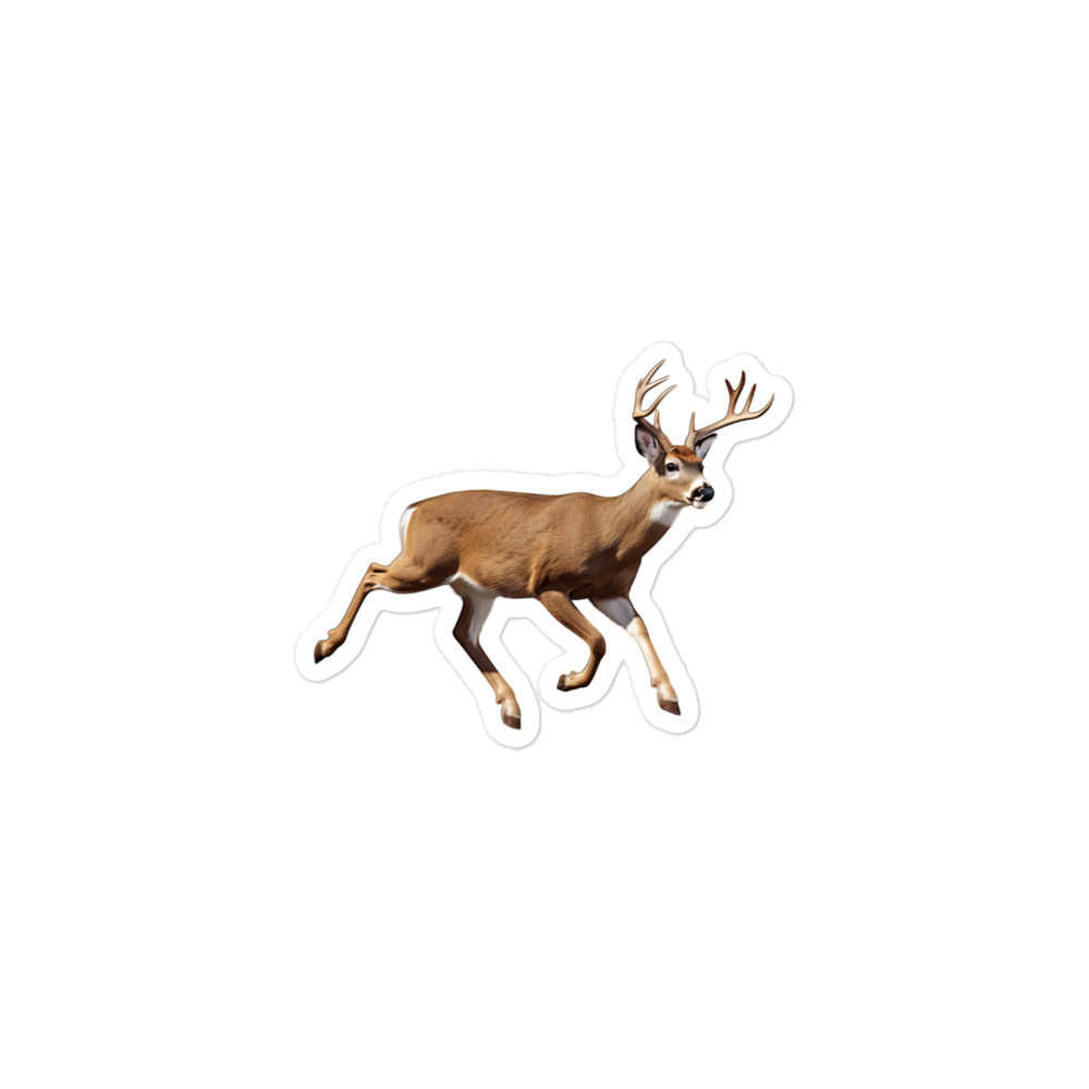 White Tailed Deer Sticker