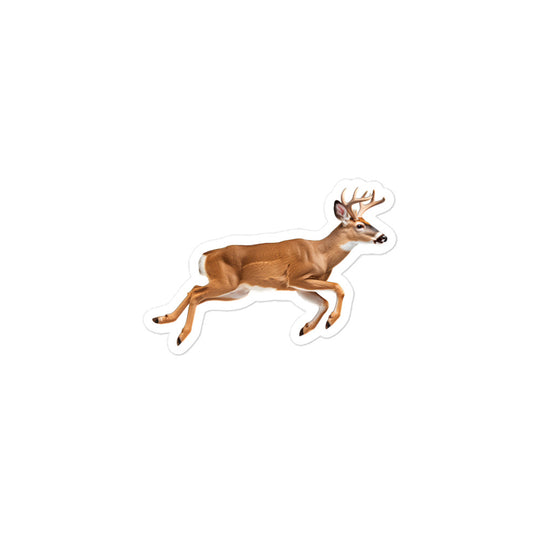 White Tailed Deer Sticker